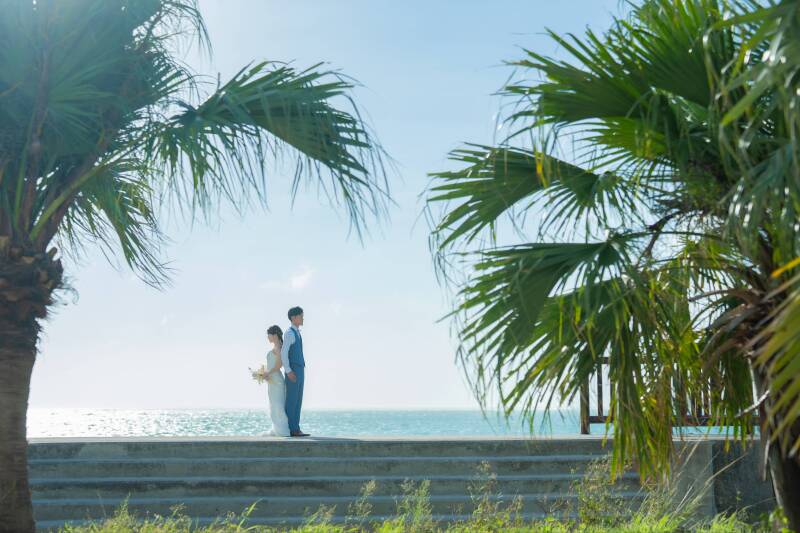 コラボレーション