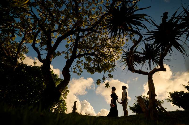 アラハビーチのヤシの木に見守られてラストショット