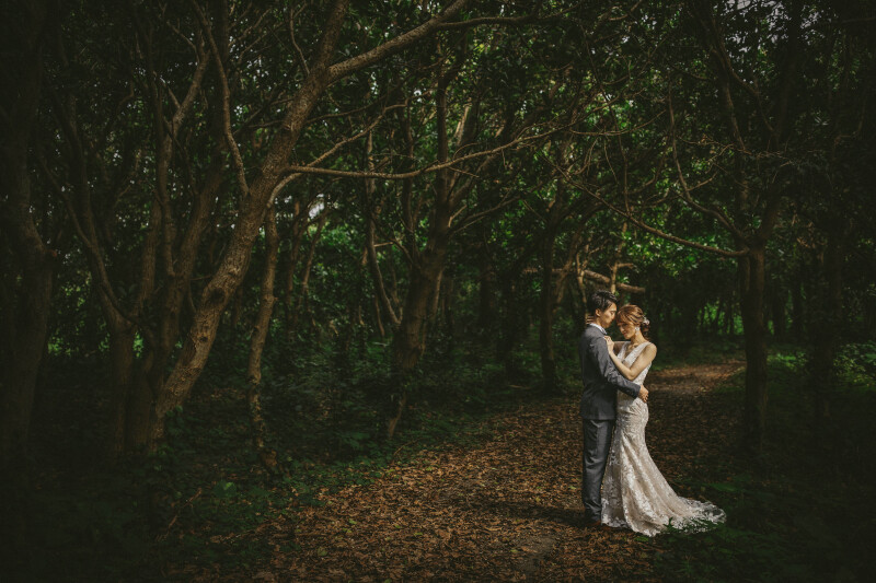 森のダークな印象の一枚。