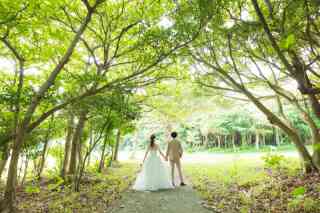 グリーン撮影追加