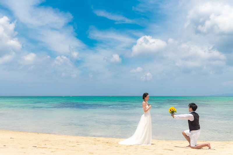 ★前撮り用の動画付き★【天然ビーチ&グリーン撮影＊コミコミ120カット＋ダイジェスト動画】