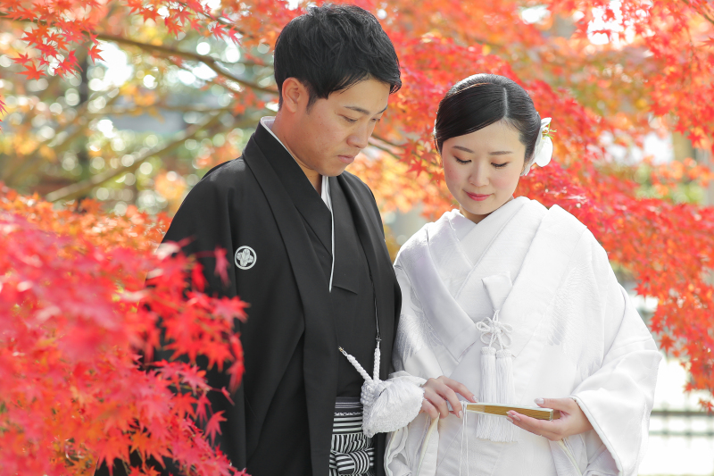 またまた紅葉と