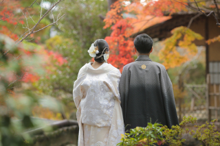 美しい色とりどりの梅宮大社