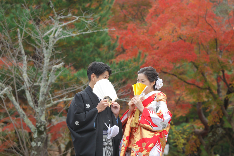 扇子ショット✧˖°