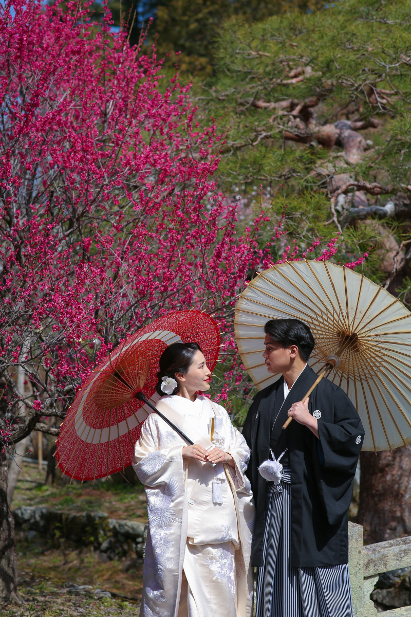 松と梅を背景に