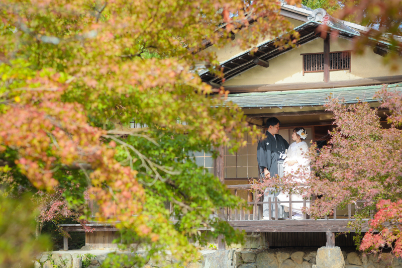紅葉・梅宮大社