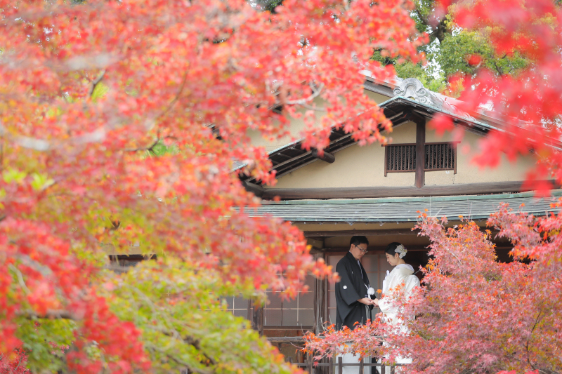 紅葉に包まれて