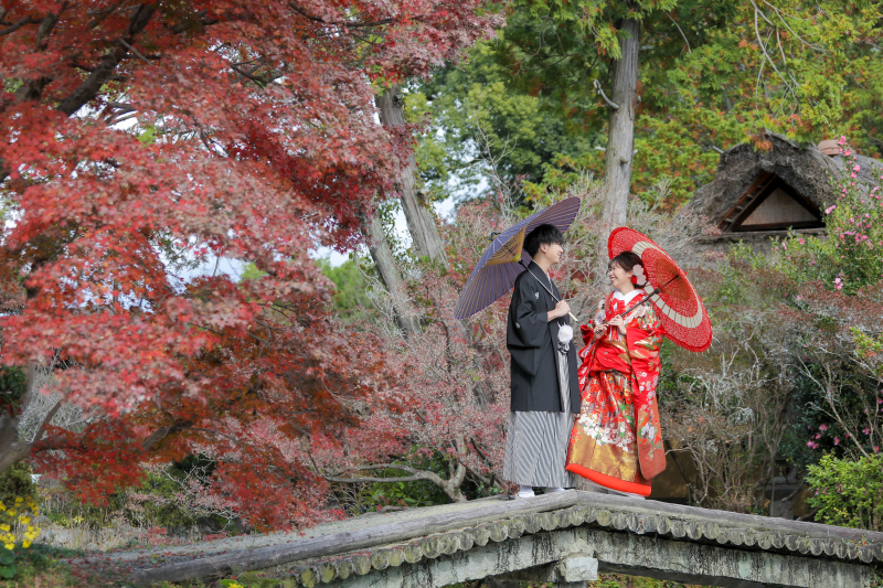 綺麗な紅葉と共に✿