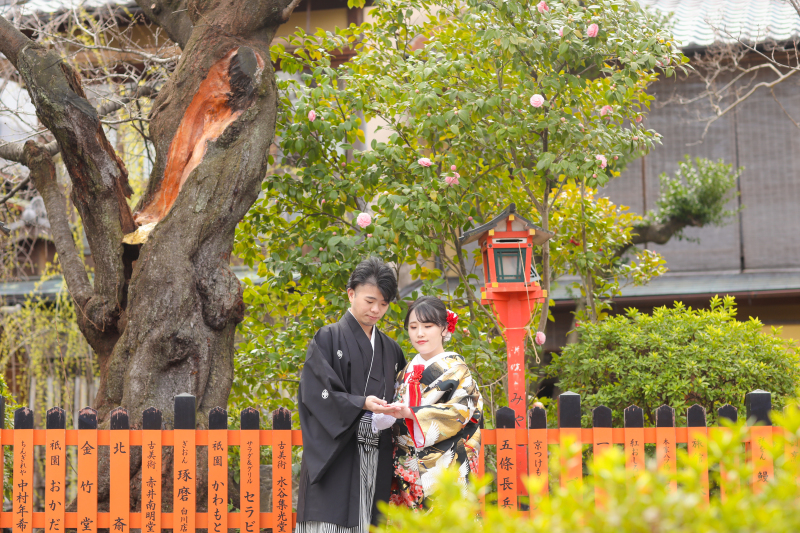 大きな木の下で