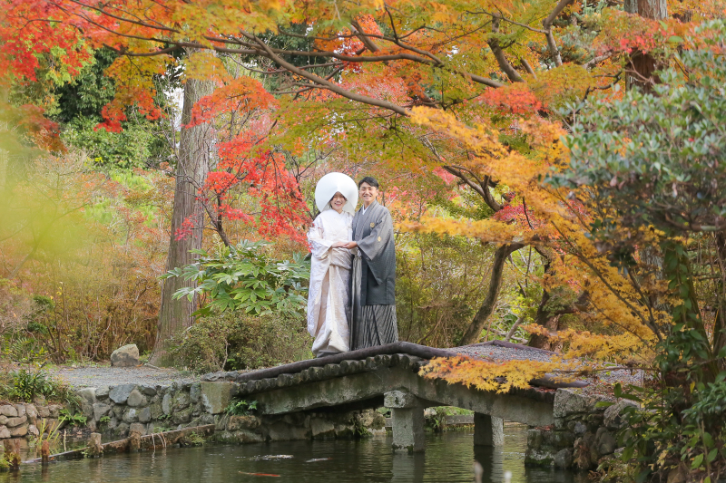 11月中旬のカラフルな庭園