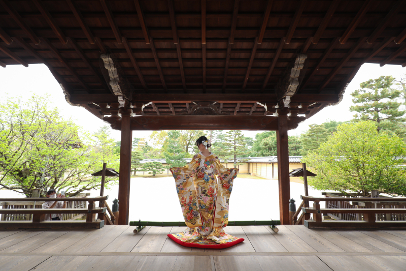 お袖を広げて…❁