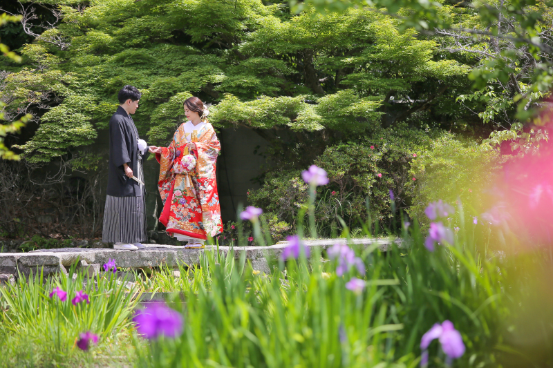 期間限定の花菖蒲と・・・