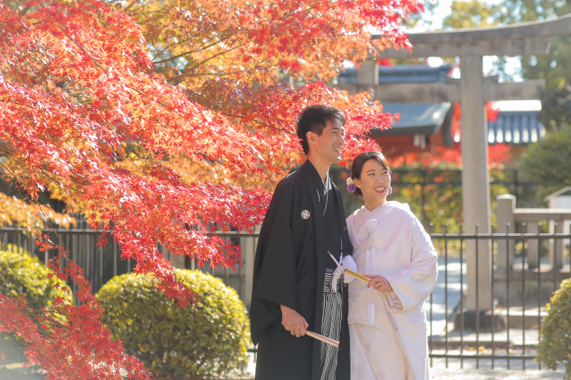 やっぱり東寺の紅葉が好き♡
