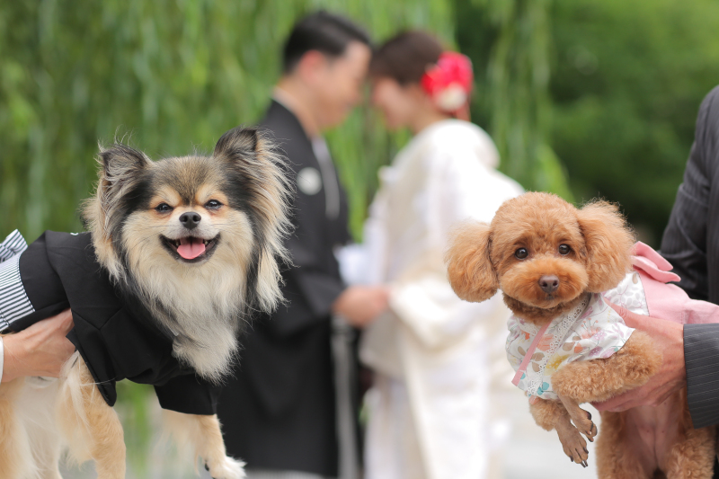 祇園白川に到着=3