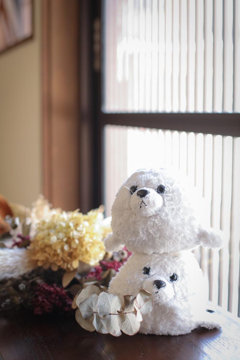 持ち込みグッズ1