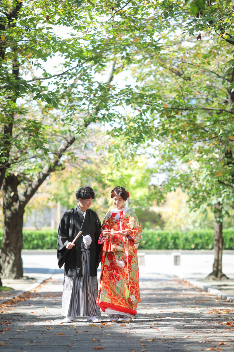 まだまだ緑もキレイです⚘