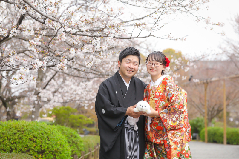 愛しのあざらしちゃんと