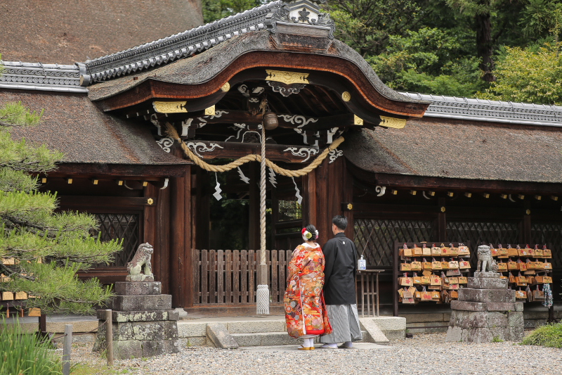 鳥の鳴き声でお出迎え
