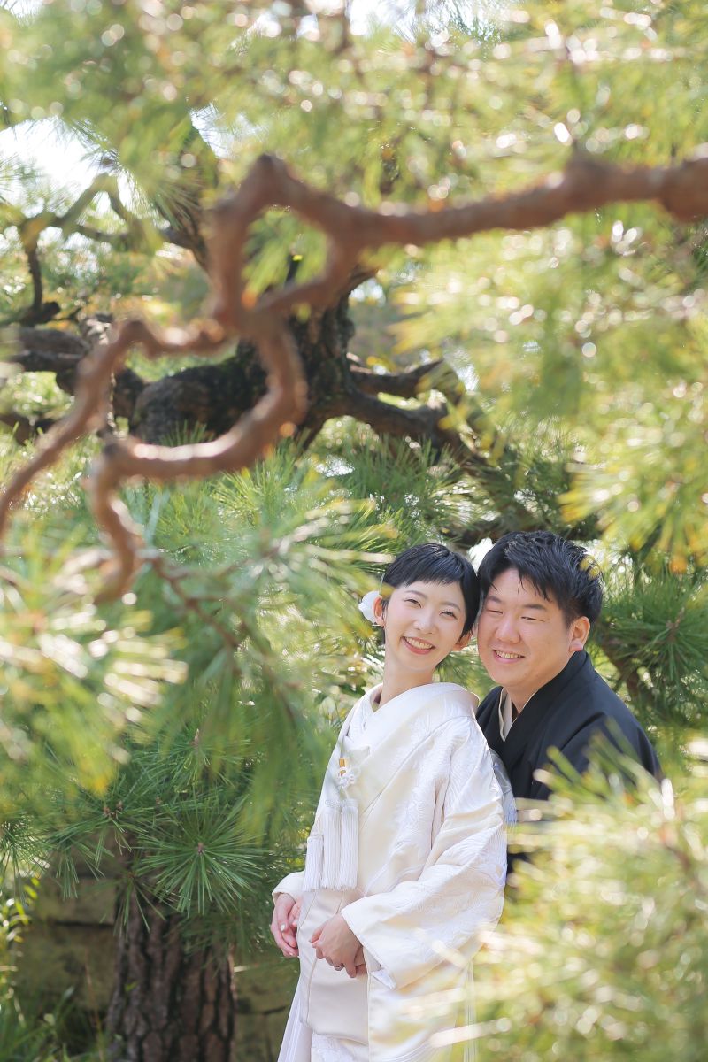 松の緑に囲まれて。