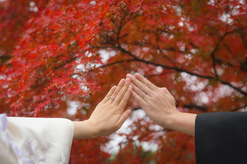 真っ赤に染まる梅宮大社