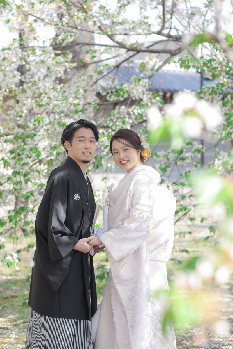 また違った背景で