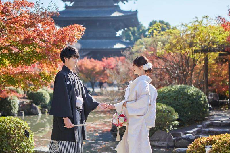 色とりどりの秋色背景