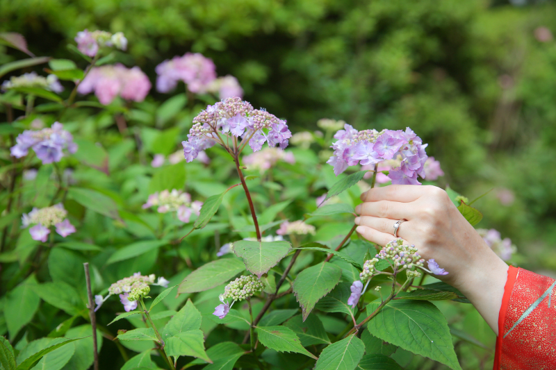 末永くお幸せに・*:.ღ