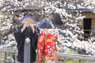 お天気も桜もタイミング良しの祇園撮影❁