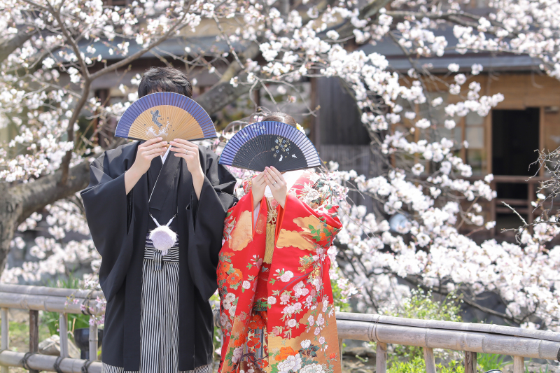 お天気も桜もタイミング良しの祇園撮影❁