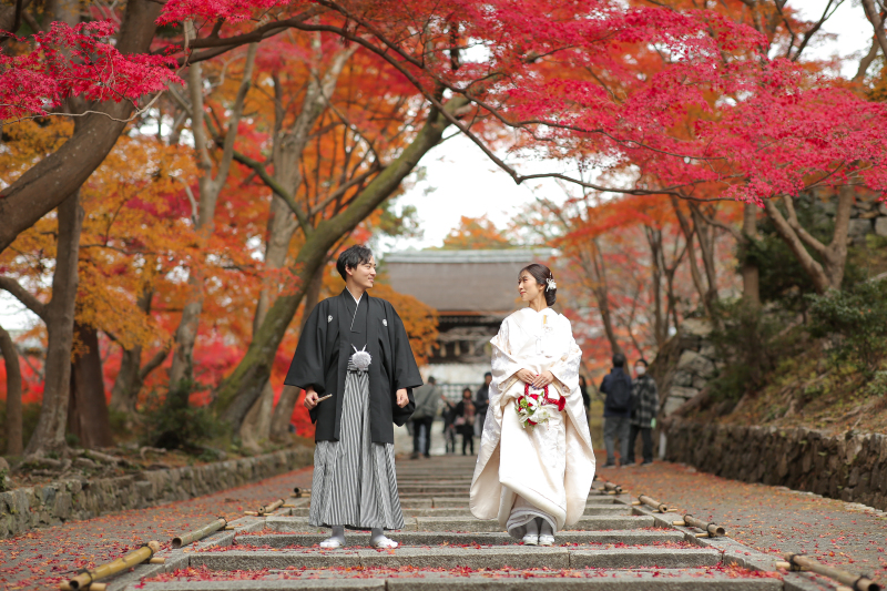 真っ赤なもみじがお出迎え♪