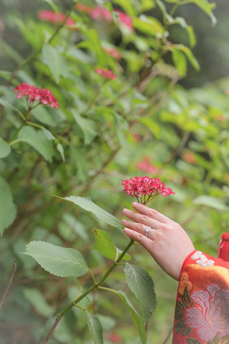 あじさいも咲き始め(^^)