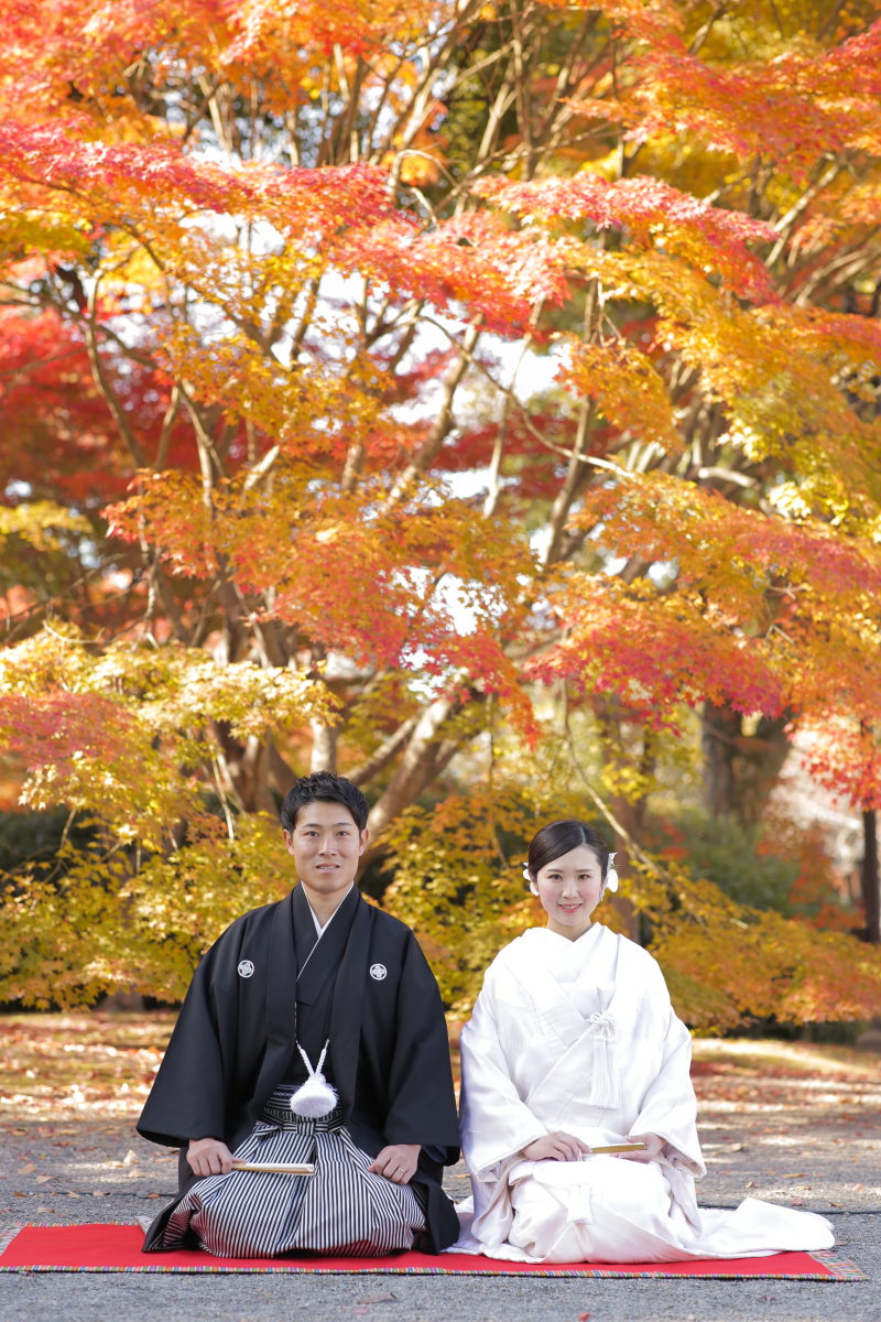 お正座ショット