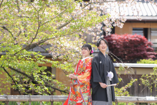 桜～新緑へ移り変わる祇園°◜✧˖°˖✧⁰◜✧˖°