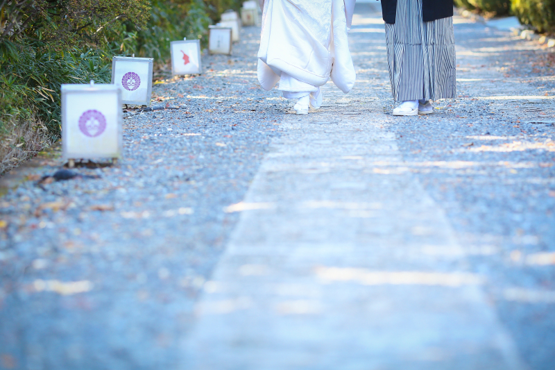 イメージカット