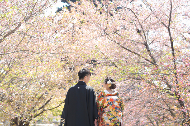 桜は待っててくれました!