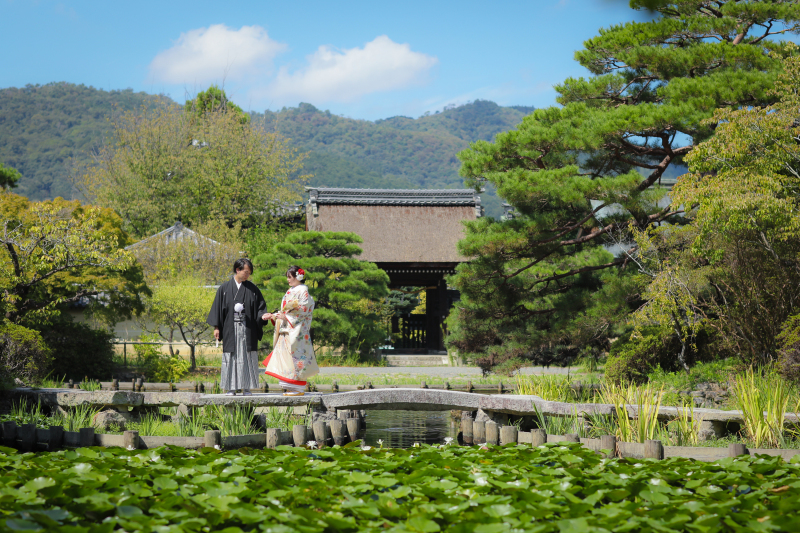 快晴の撮影日和