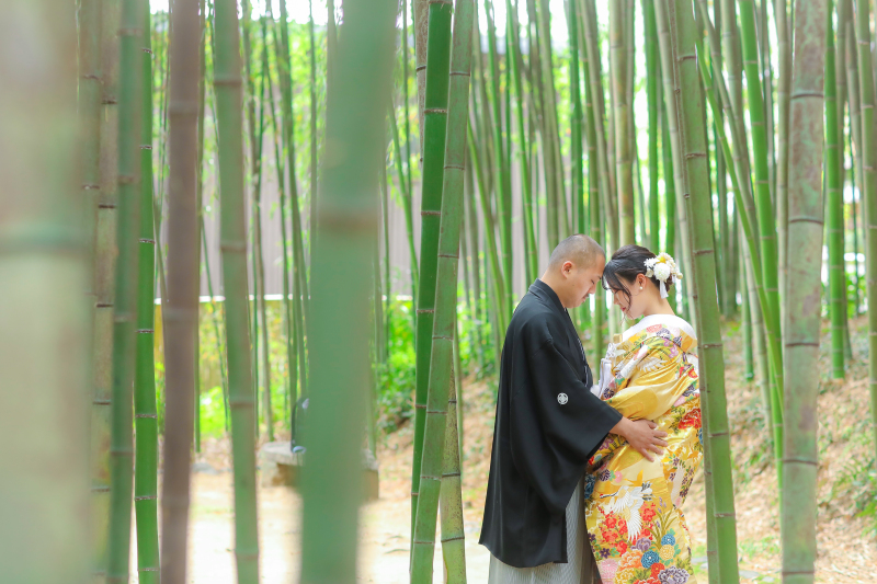 青々とした大覚寺で୨୧
