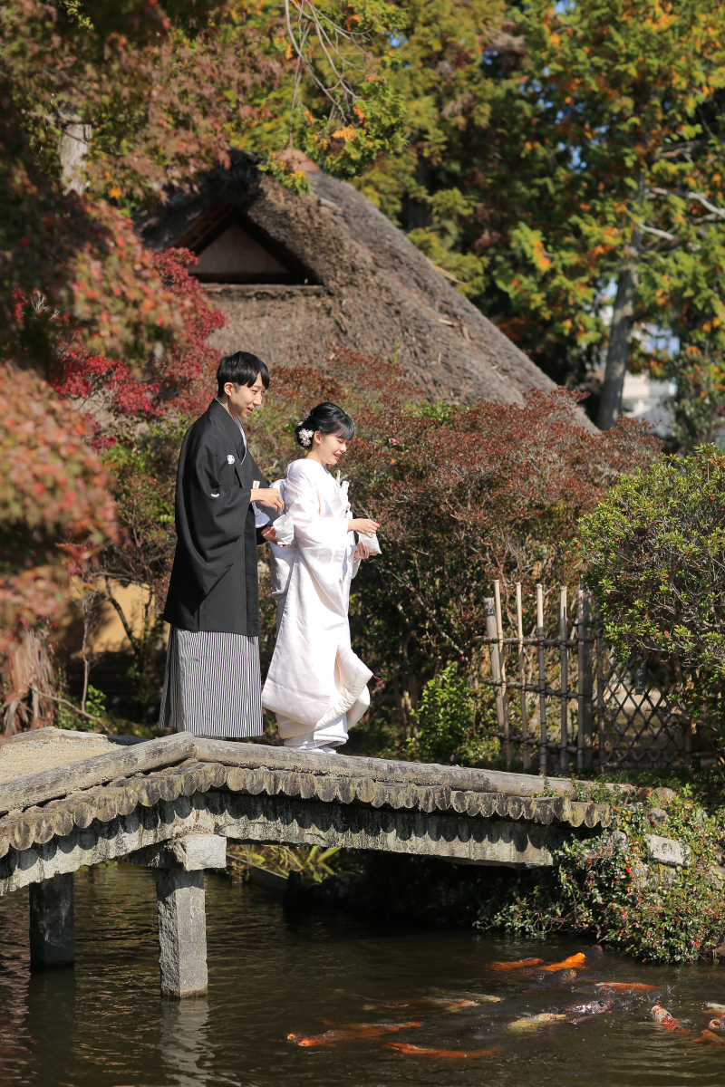 鯉さんこんにちは☆