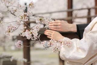 お庭と室内 どちらも満喫した日✧