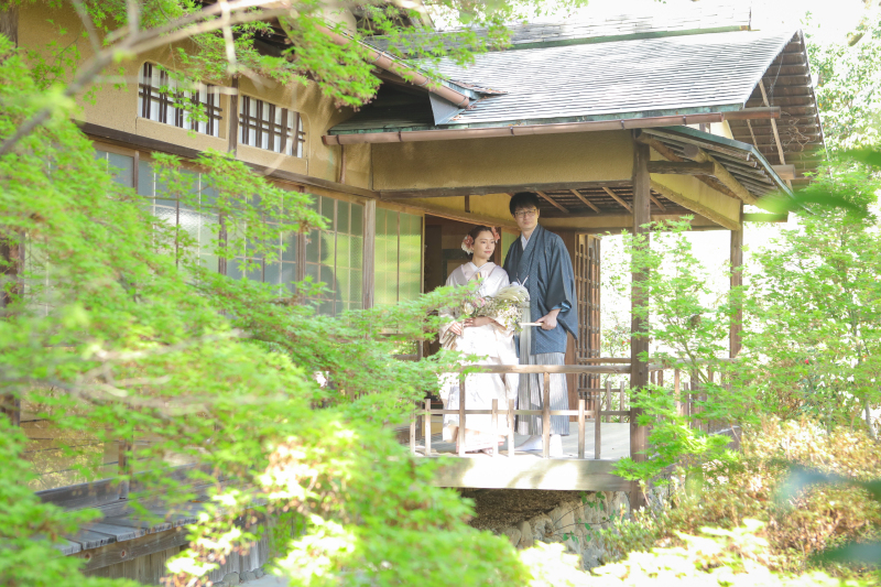 ⋰ ⋱⋰新緑が美しい梅宮大社⋰ ⋱⋰