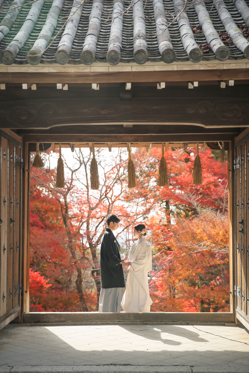 一枚の絵画のような❁