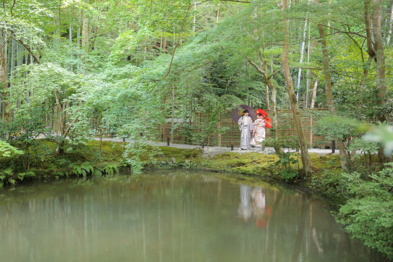 お池の向こうに