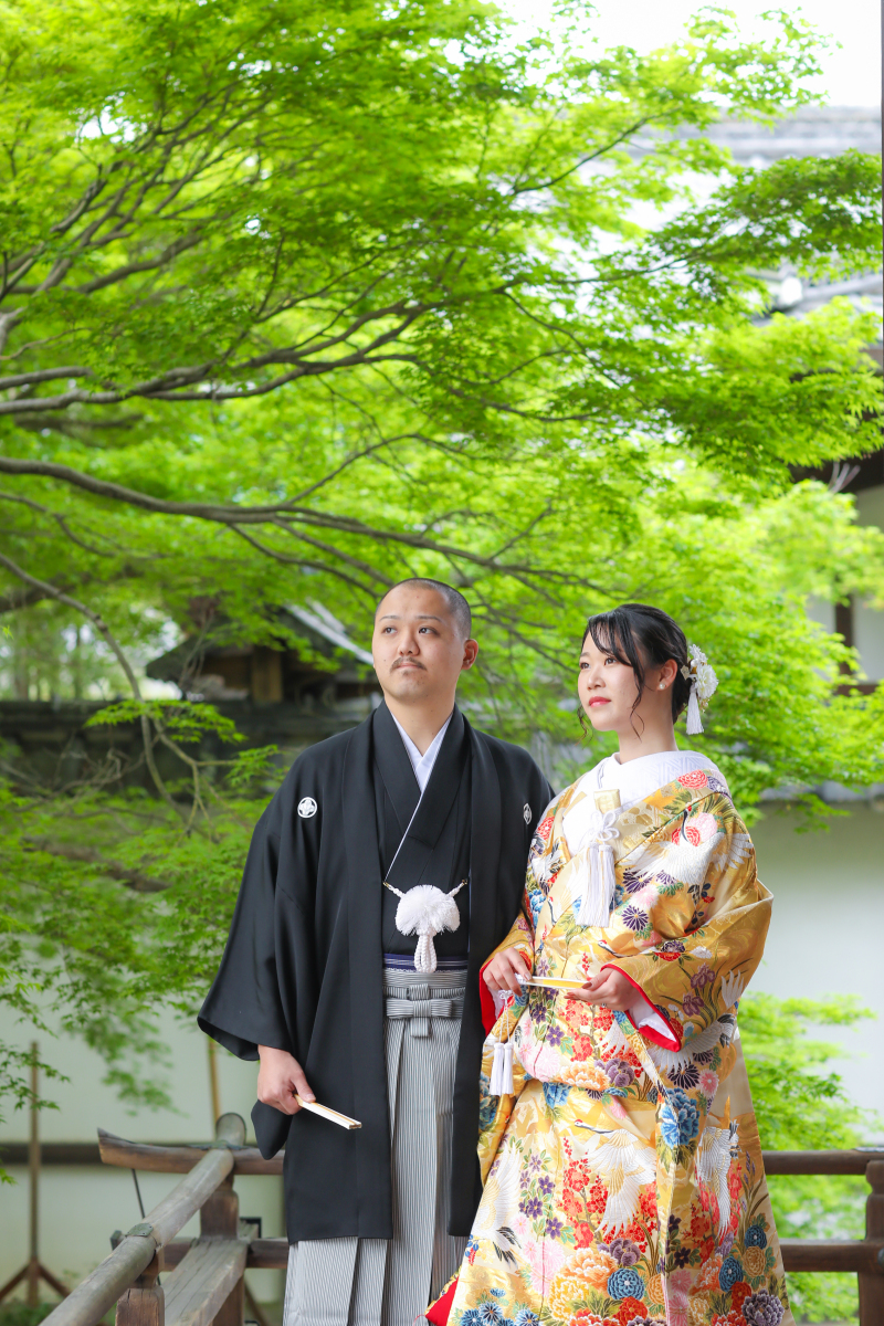 青紅葉を背景に