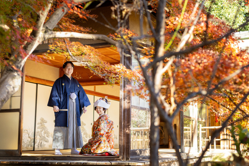 美しい紅葉の中で