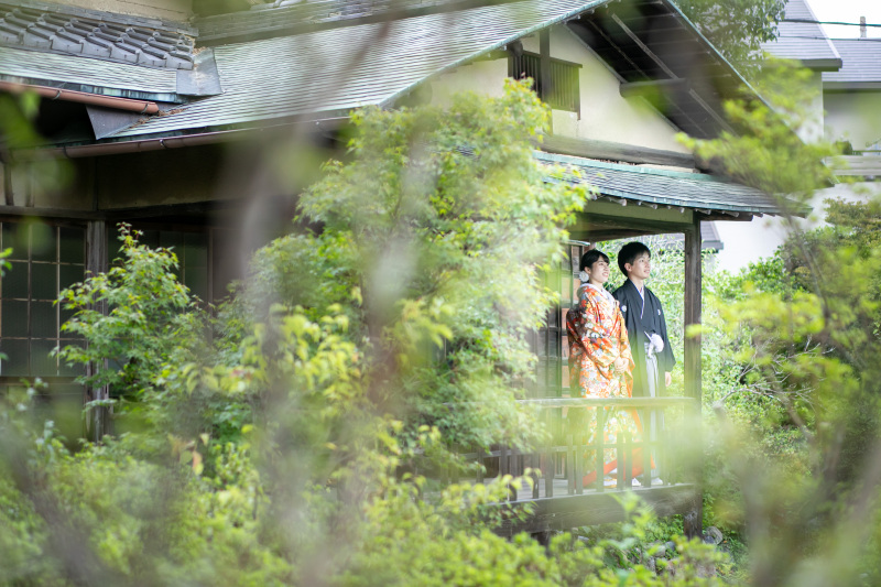 お次はこっそり葉の陰から...