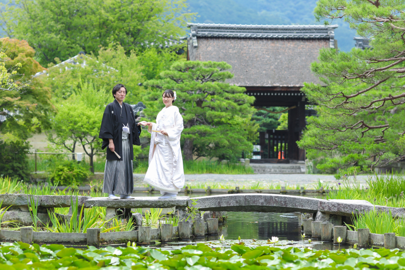 緑豊かな庭園❁