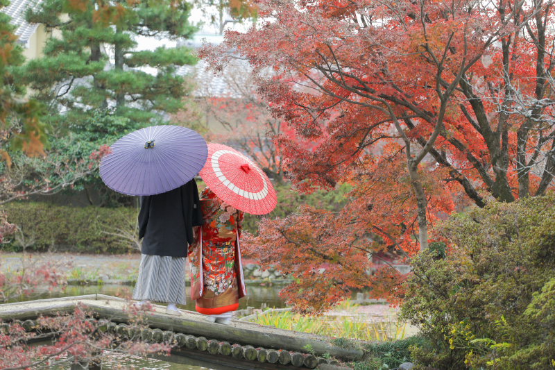 色鮮やかな景色で