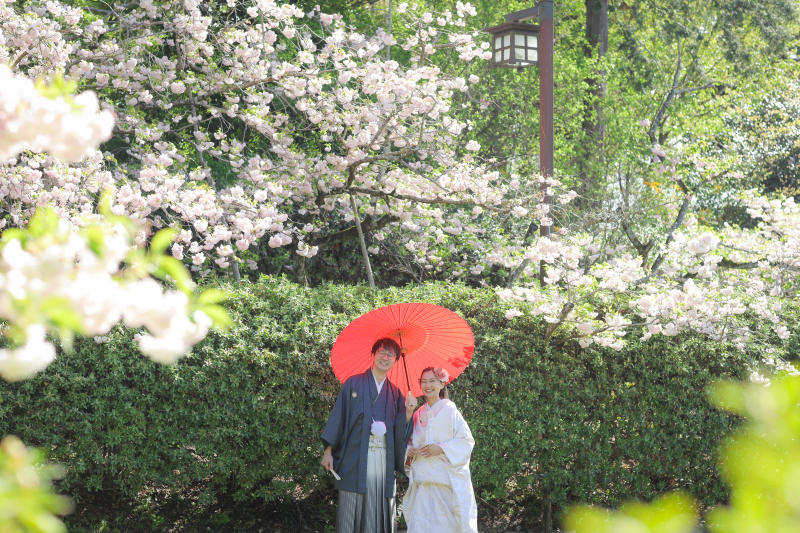 遠くからお2人を.ᐟ.ᐟ