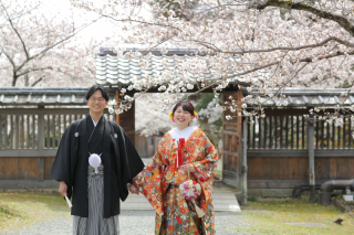 大覚寺の桜、満喫!!