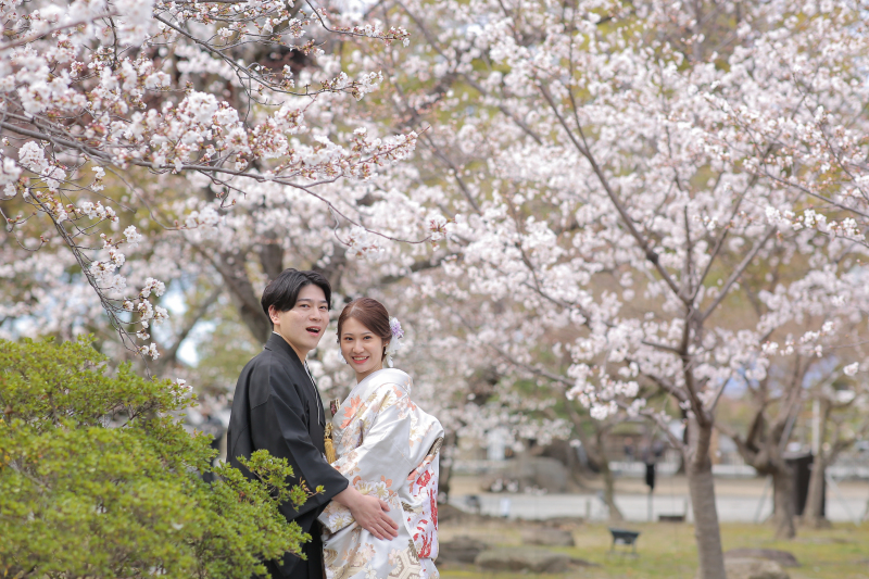 世界遺産で桜ロケ❀